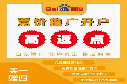 某企业SEM广告投放的ROI提升之路